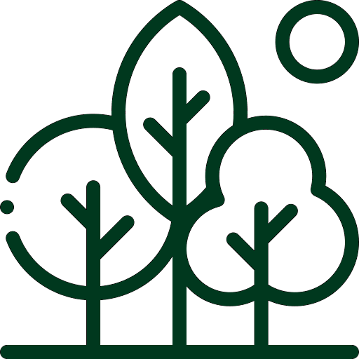 entorno-icono entorno icono